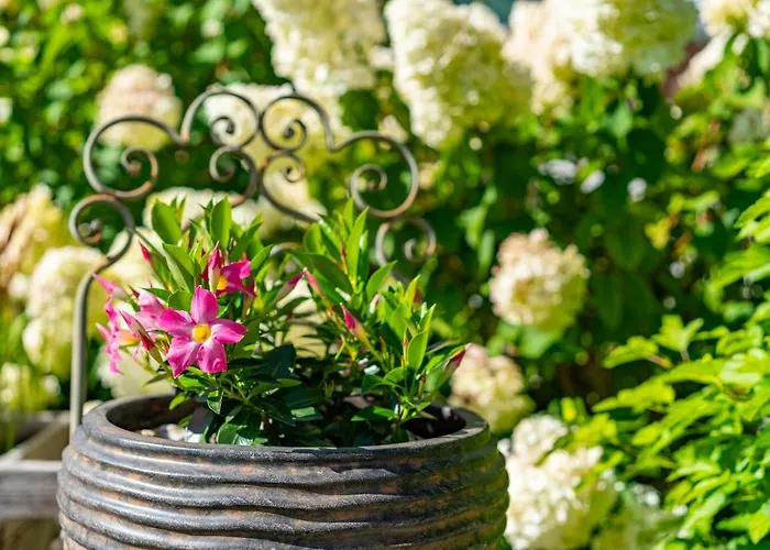 Gruber Apartamento *